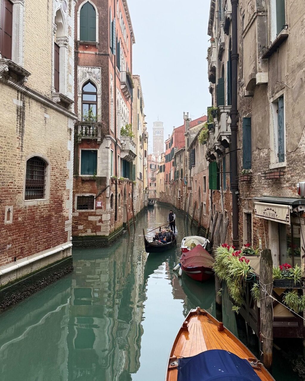 Instagram post from dratainaandrade. This post is in position 5.